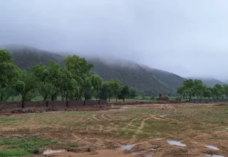 beautiful aravali hills 768x448